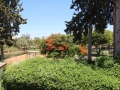 Luxury villas for sale in Petach Tikva.